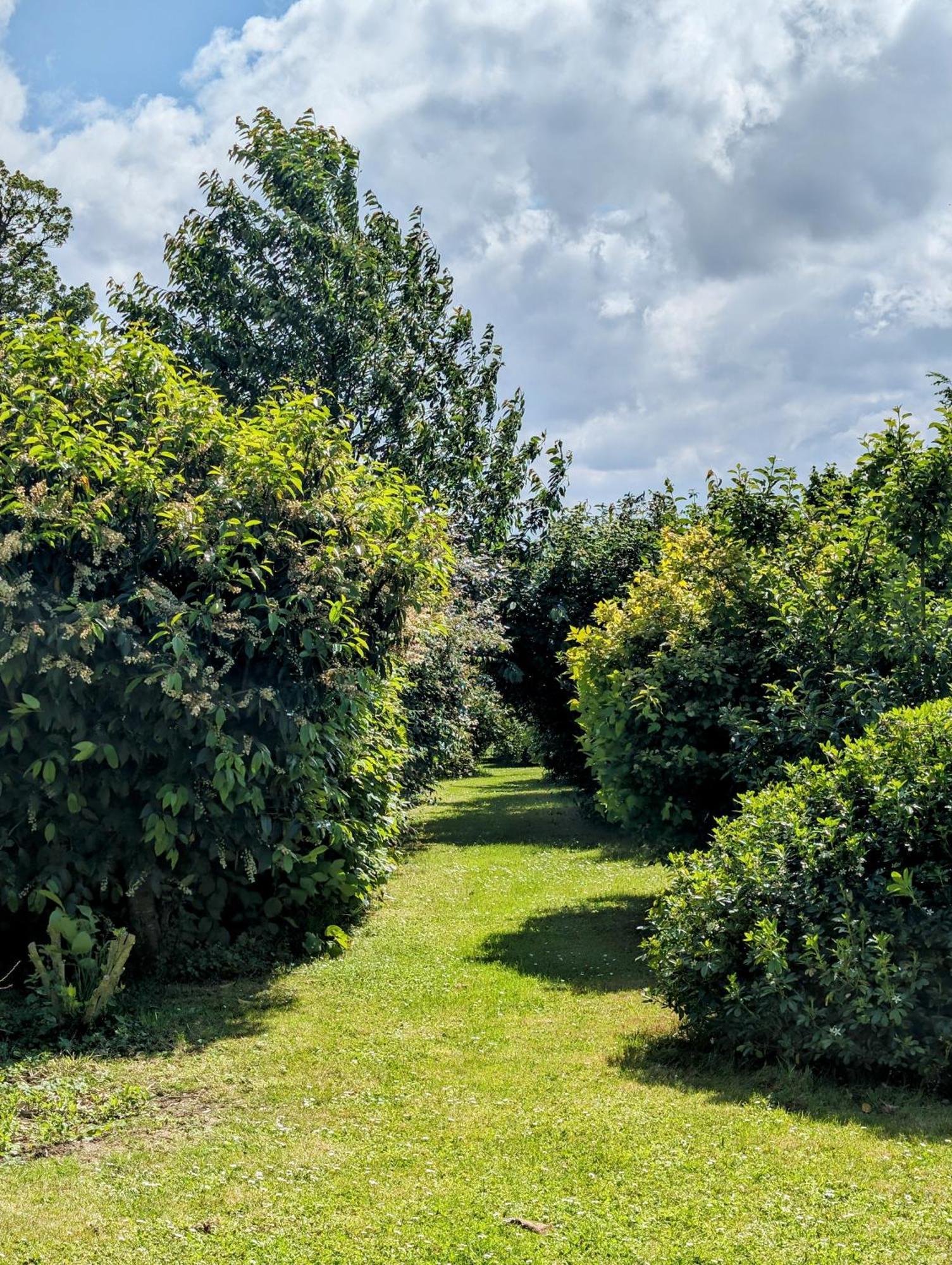 Le Relais Du Beffroi & Spa Saint-Riquier Kültér fotó