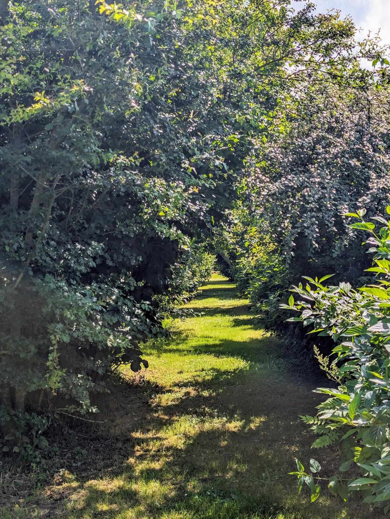 Le Relais Du Beffroi & Spa Saint-Riquier Kültér fotó